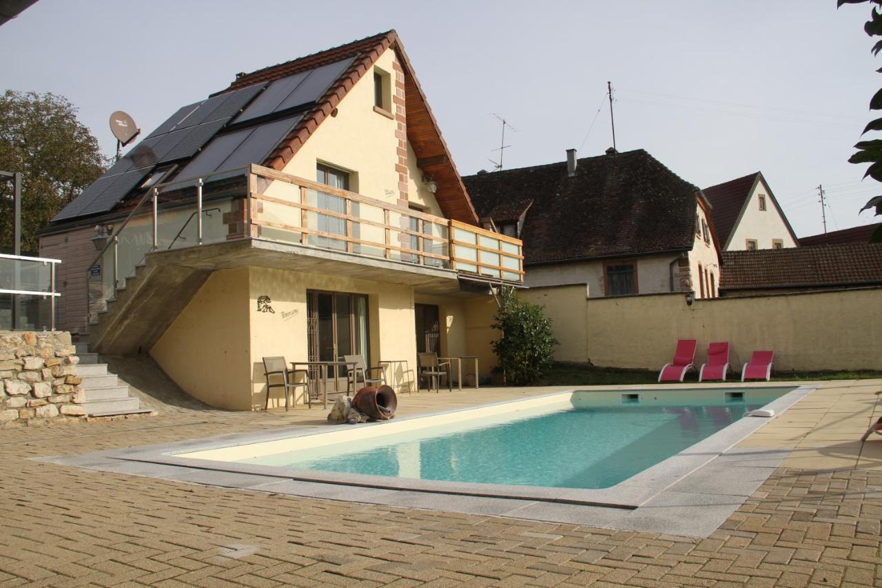 Les Gites 2-4 Pers Remy Herold Katzenthal Exteriér fotografie