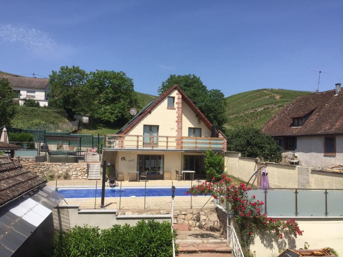 Les Gites 2-4 Pers Remy Herold Katzenthal Exteriér fotografie